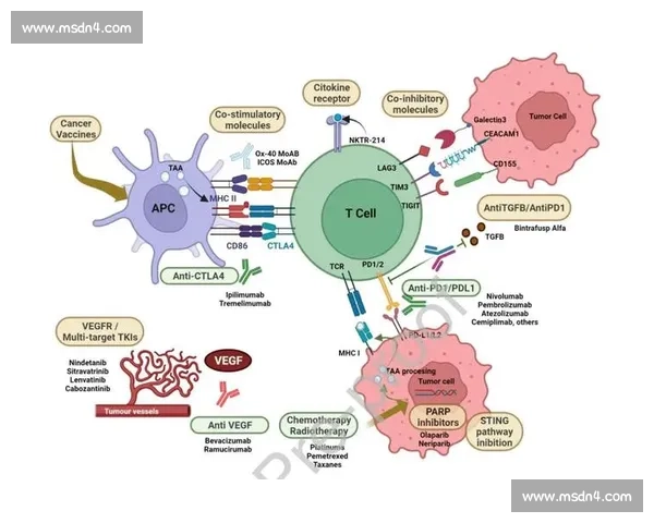 以节奏掌控驱动高效创作与持续突破的全面系统化实践策略探索