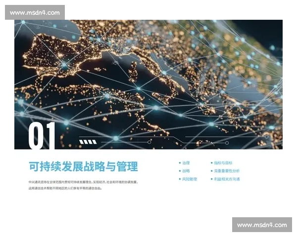 以股东价值最大化为导向的企业战略与可持续发展研究